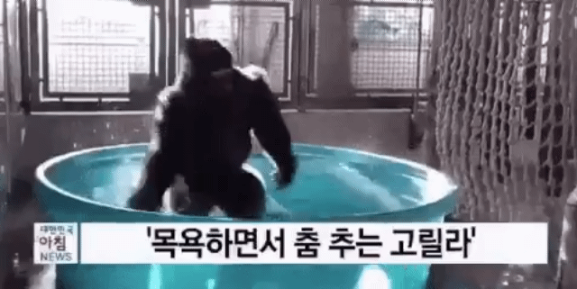 결국 망신살 살풀이 실패한 듯한 목욕탕 돌던 쭉빵회원 | 인스티즈