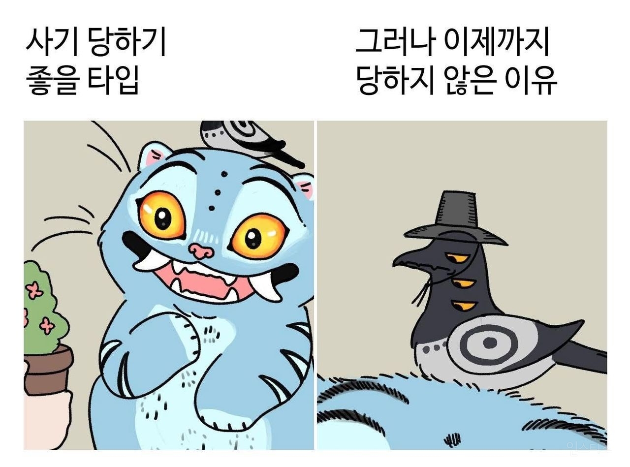 딱 사기 당하기 좋은 타입 | 인스티즈