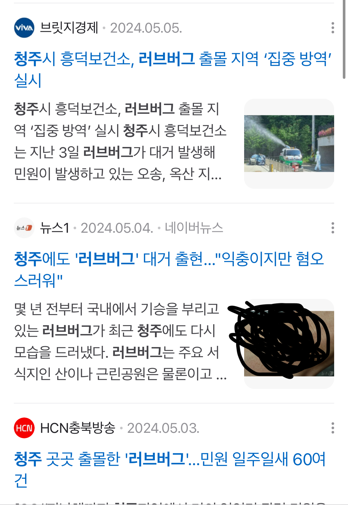 [잡담] 청주 작년에는 러브버그 엄청 많았는데 올해는 없더라 | 인스티즈