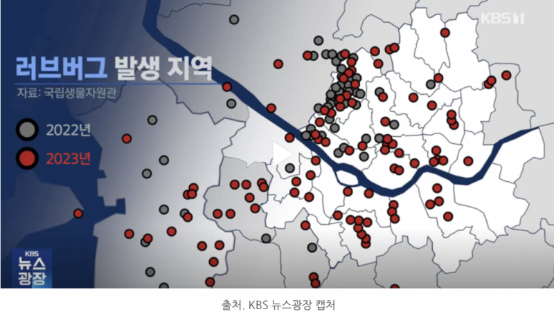 [잡담] 러브버그 많은 지역들이래 | 인스티즈