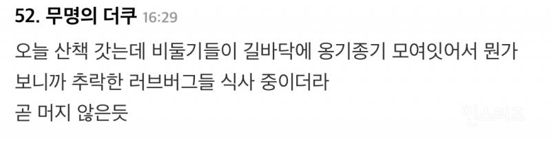 러브버그 전에 난리였던 황소개구리 뉴트리아 꽃매미 근황 ㄷㄷ | 인스티즈