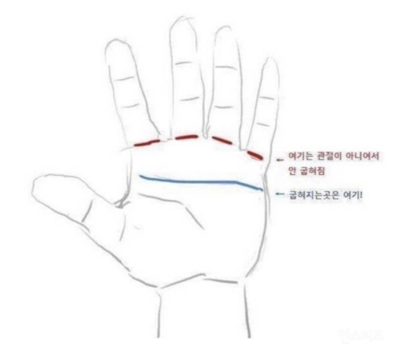 매일 보는 '손'에 대한 빨간약 드립니다.jpg | 인스티즈