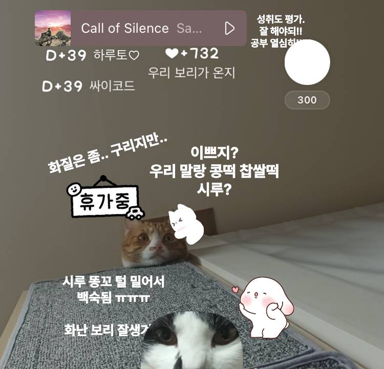 [잡담] 내 동생 카톡 프사 뭐임 | 인스티즈