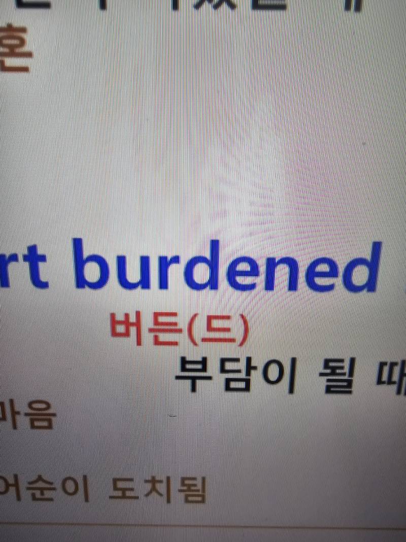[잡담] 익들 조금창피한데 성인되고 영어공부 하는중인데 질문점... | 인스티즈