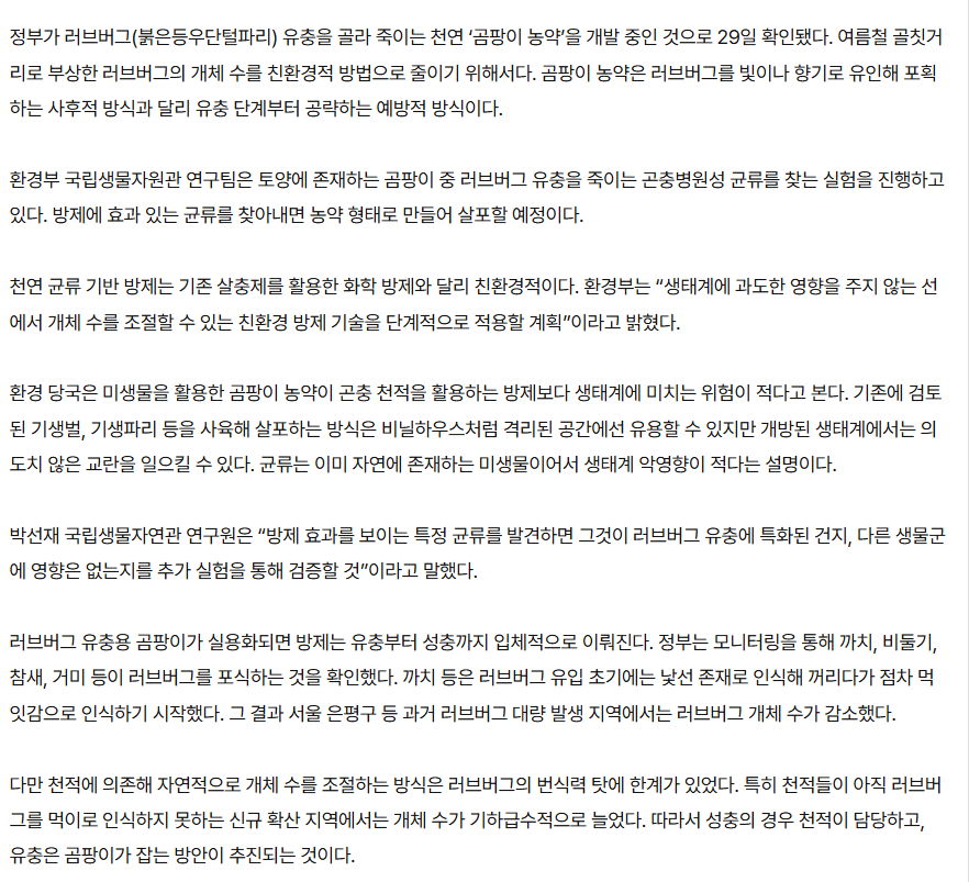[잡담] 응 러브버그 드디어 까치등 먹잇감으로 생각한데 | 인스티즈