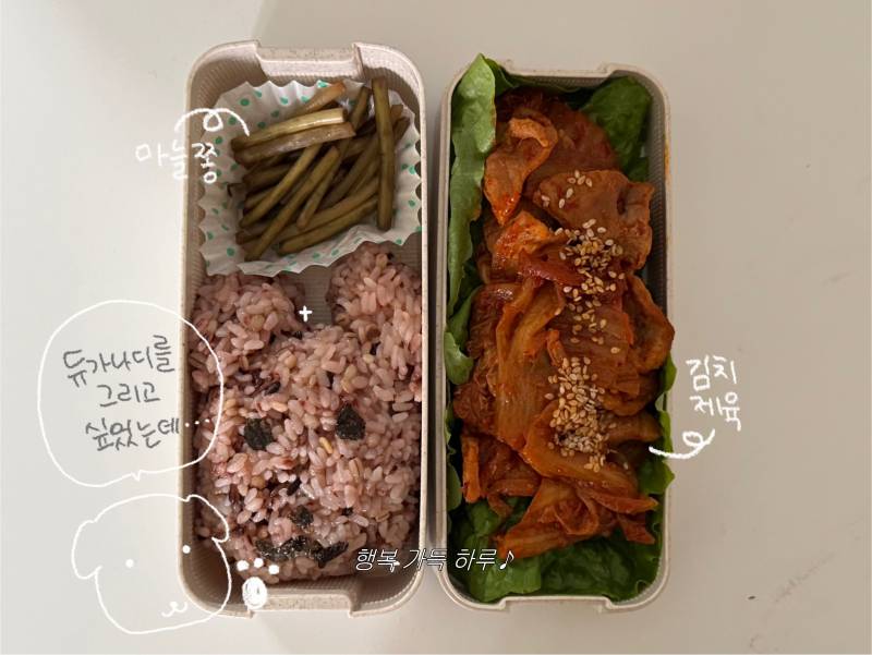 [잡담] 일주일동안 배달끊고 점심 도시락 싸다닌 후기🍱 | 인스티즈
