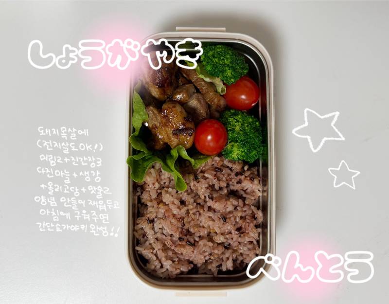 [잡담] 일주일동안 배달끊고 점심 도시락 싸다닌 후기🍱 | 인스티즈