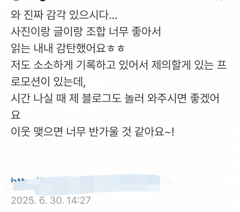 [잡담] 블로그 쓰는 익들 있오? 이런 댓글은 보통 스팸같은 광고지? | 인스티즈