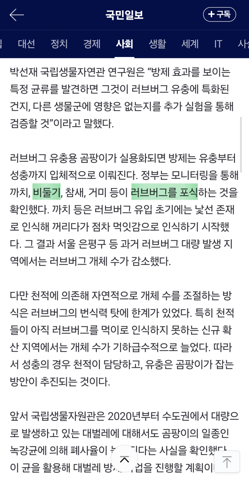 [잡담] 비둘기가 러브버그도 먹는대 | 인스티즈