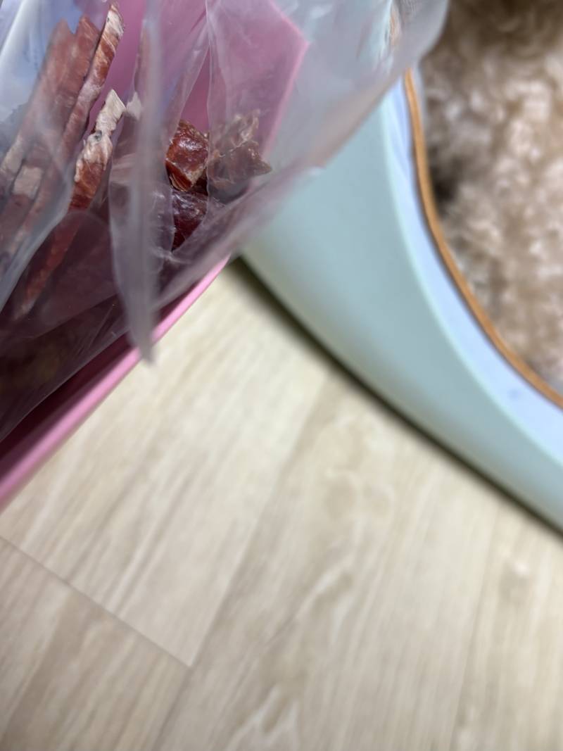 [잡담] 우리 강아지 공주로 키워서 주는거만 먹음 | 인스티즈
