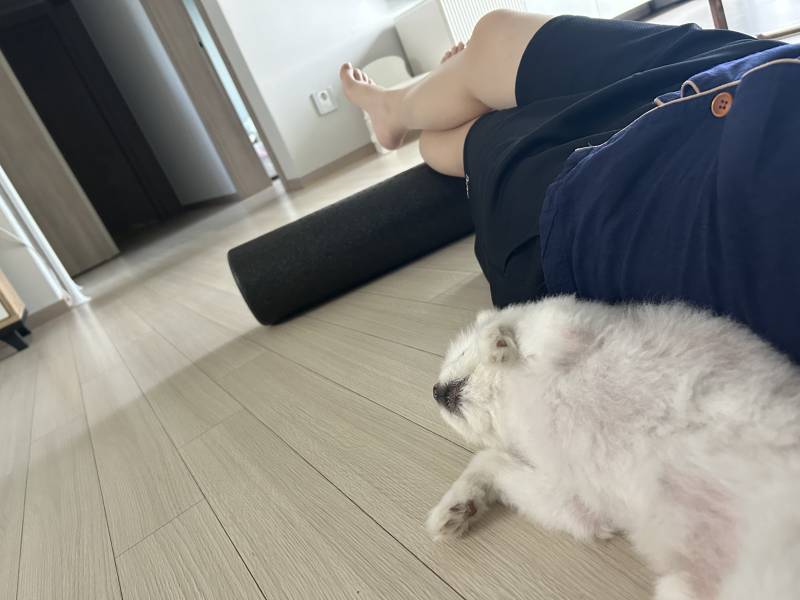 [잡담] 낮에 엄마랑 수다떨면서 폼롤러 했는데 | 인스티즈