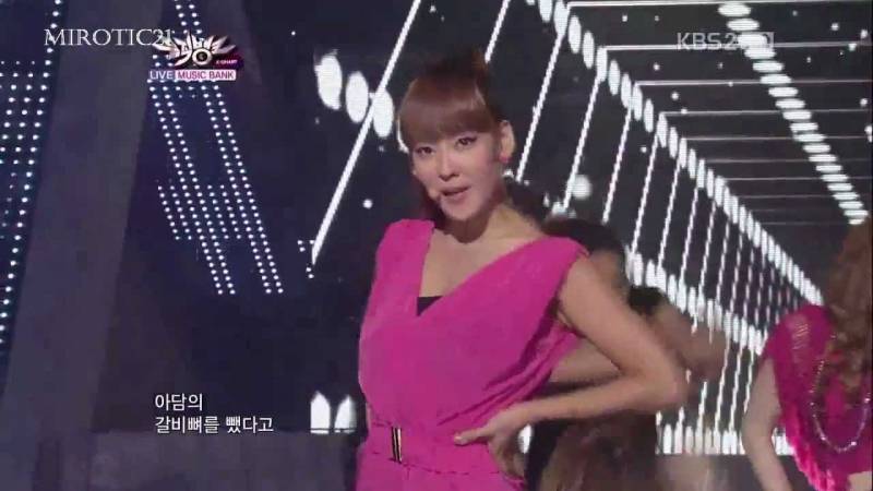 [잡담] 고양이 수술비 엄청나와서 이제부터 다이어트 쭉쭉간다 | 인스티즈