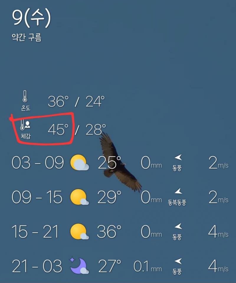 현재 초비상걸린 다음주 날씨 (체감 47도) | 인스티즈