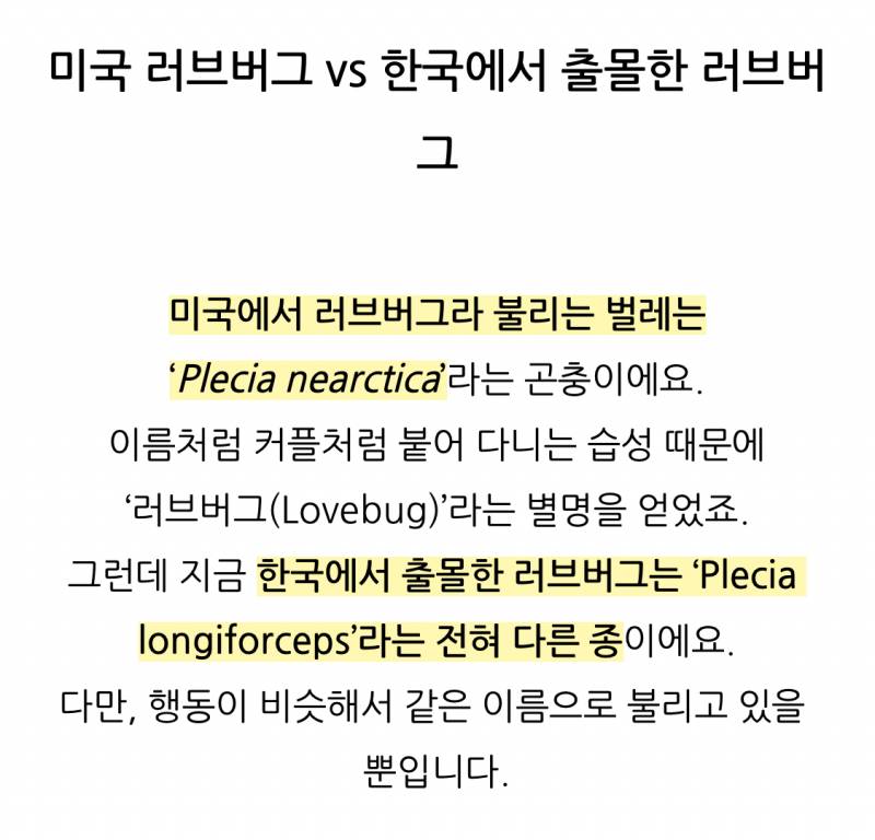 [잡담] 맛없다고 하는 러브버그는 미국 러브버그임 | 인스티즈