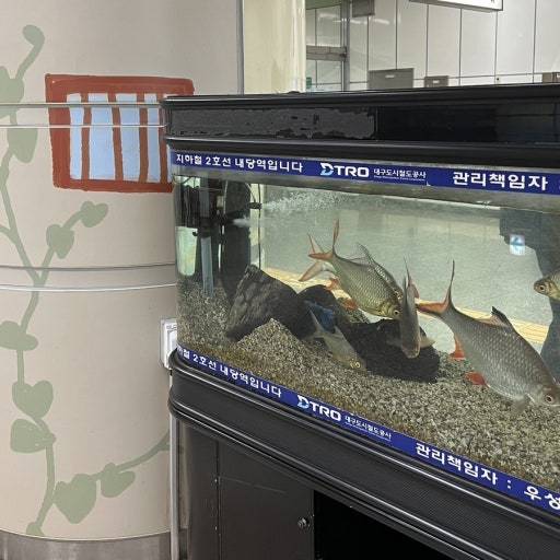[잡담] 헐........다른 지역 지하철역사 안에는 수족관이 없구나? | 인스티즈