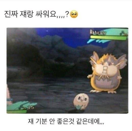[잡담] 오늘 퓨처스 상무 대 기아 | 인스티즈