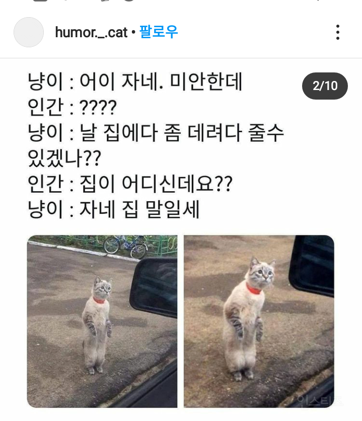 어이 자네 미안한데 | 인스티즈