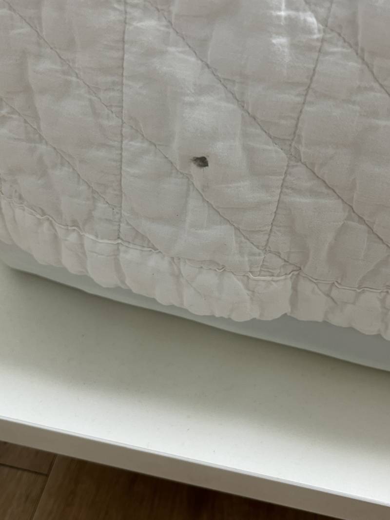 [잡담] 러브버그 ㅋㅋ ㅎㅏ 침대에서 잡았는에 흔적 뭐임.. | 인스티즈