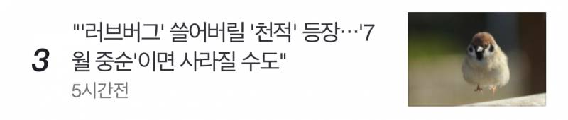 [잡담] 와 러브버그 천적 용맹한거바.. | 인스티즈