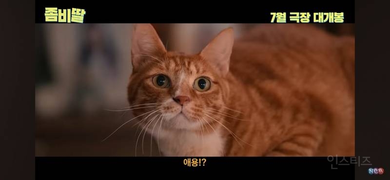 대체 어떻게 실사화로 살릴지 궁금한 웹툰 캐릭터.JPG | 인스티즈