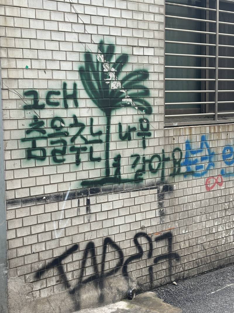 [잡담] 다이어트중이긴한데 수영복 입어도 괜찮을까?ㅜㅜ | 인스티즈
