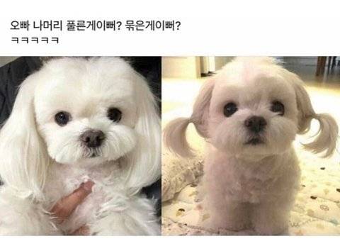 [잡담] 다 예쁘다고 하지마 하나만 골라줘 | 인스티즈