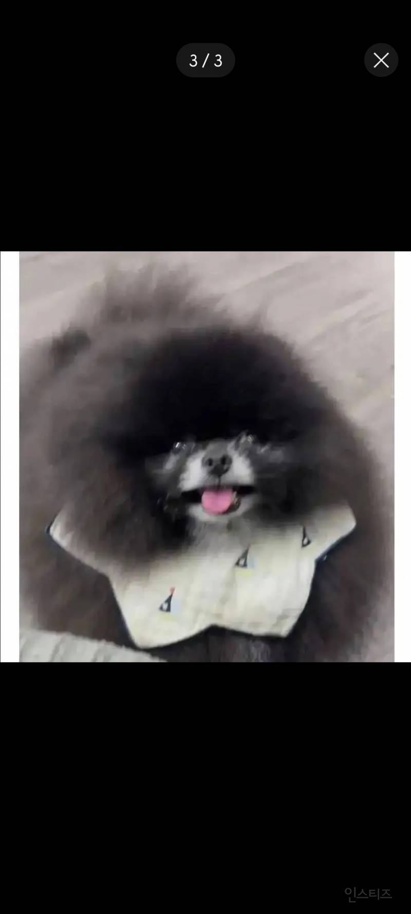 해외에서 화제가 된 외눈박이 생명체 | 인스티즈