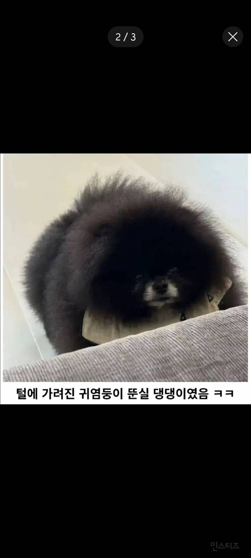 해외에서 화제가 된 외눈박이 생명체 | 인스티즈