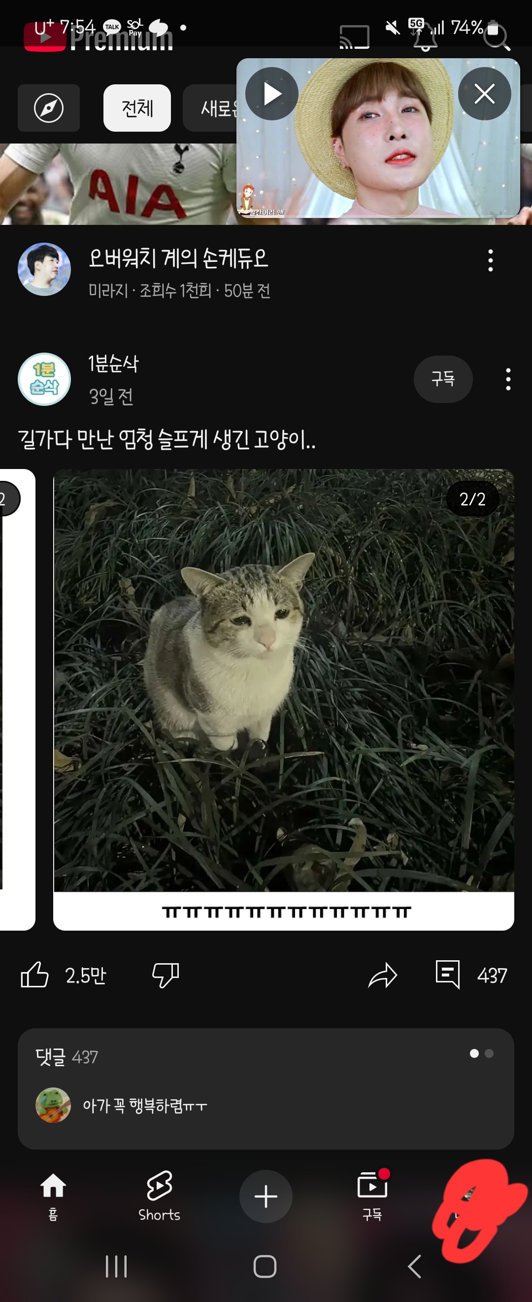 [잡담] 아진짜 개망함 썸남이 모하냐해서 기여운 고양이 발견했다고 캡쳐해서보냈는데 | 인스티즈