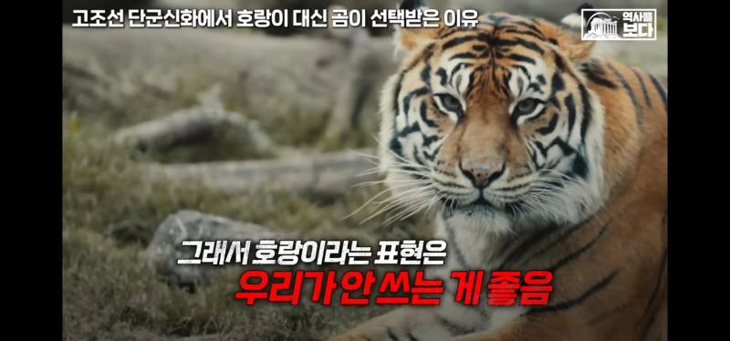 [잡담] 너네 호랑이가 일제강점기때 표현인거 알고잇엇어?;; | 인스티즈