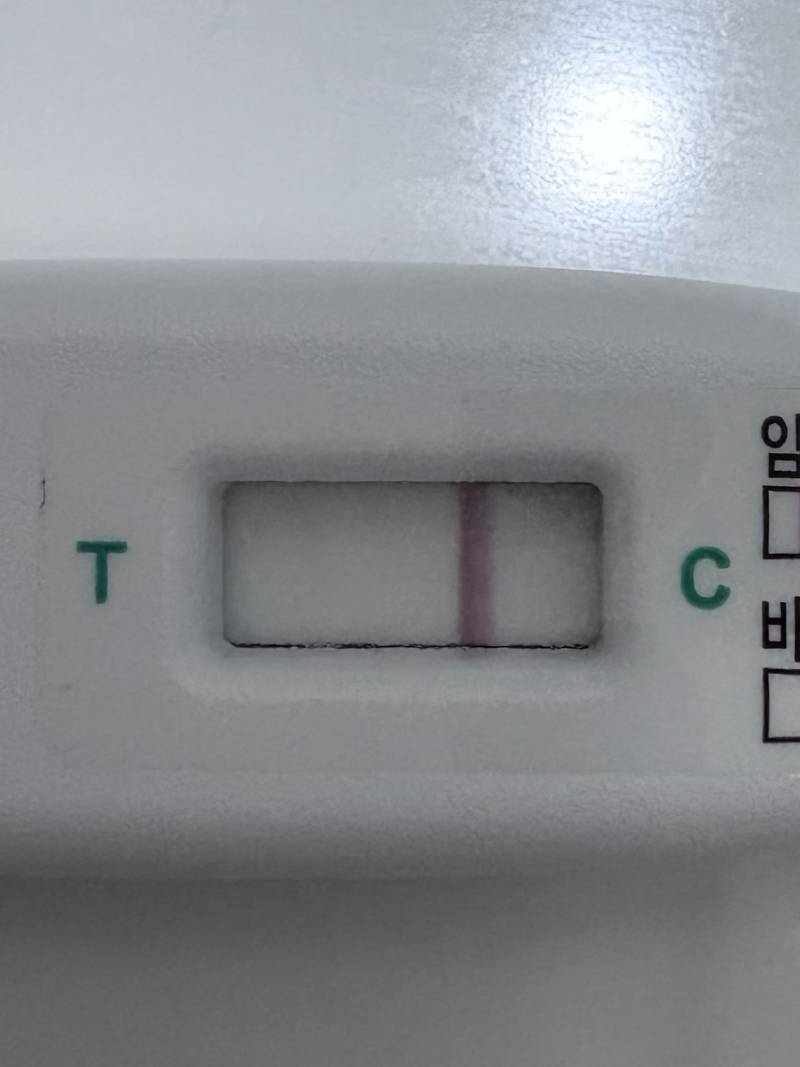 [잡담] 제발 한 번만 봐줘ㅠㅠ 이거 두 줄 아니지..? (임테기 사진 있어) | 인스티즈