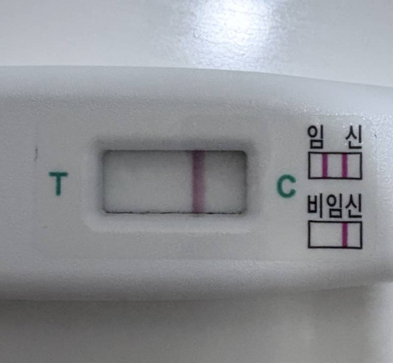 [잡담] 제발 한 번만 봐줘ㅠㅠ 이거 두 줄 아니지..? (임테기 사진 있어) | 인스티즈