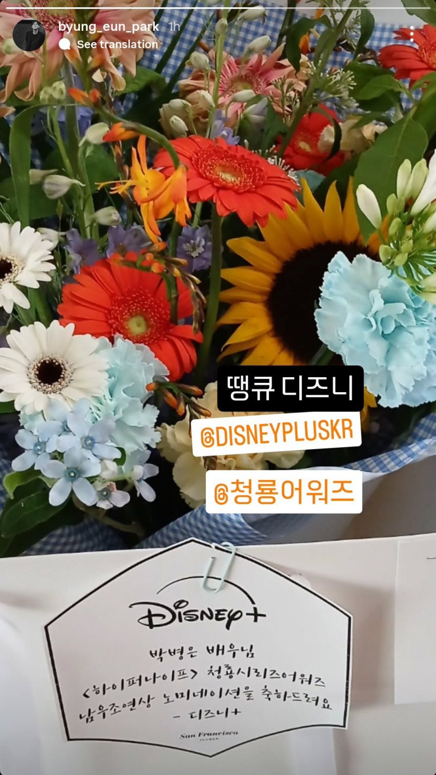 [잡담] 디플에서 하이퍼나이프 청룡어워즈 노미 됐다고 꽃바구니 보내줬나봐 | 인스티즈