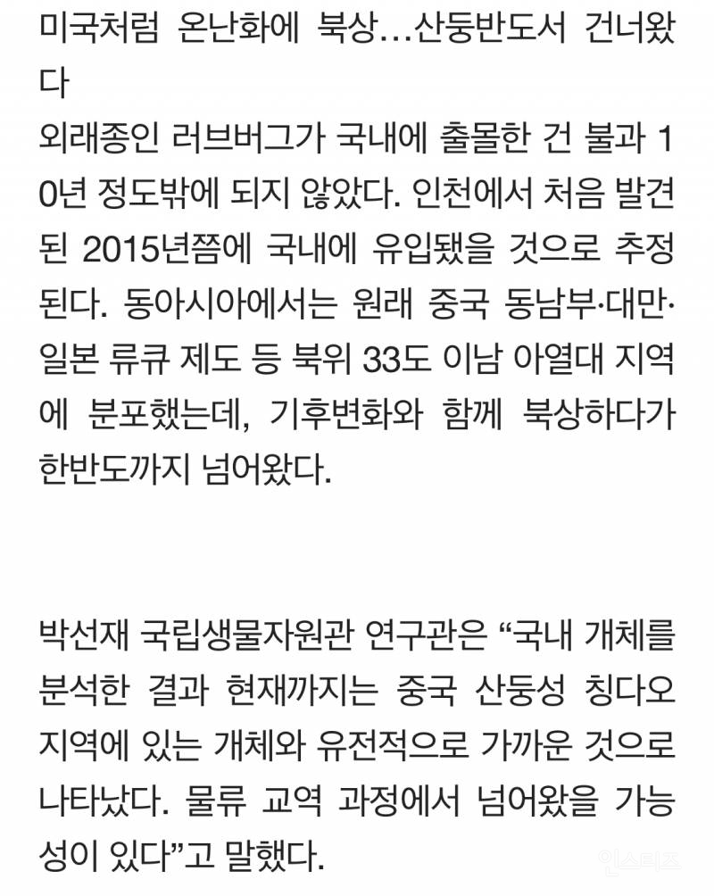 그들에겐 수도권이 천국이었다…마침내 드러난 러브버그 비밀 | 인스티즈