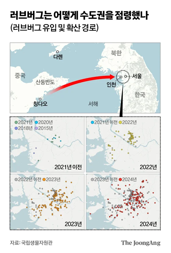 그들에겐 수도권이 천국이었다…마침내 드러난 러브버그 비밀 | 인스티즈