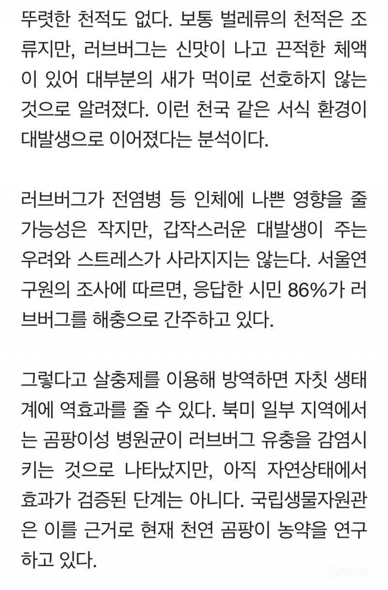 그들에겐 수도권이 천국이었다…마침내 드러난 러브버그 비밀 | 인스티즈