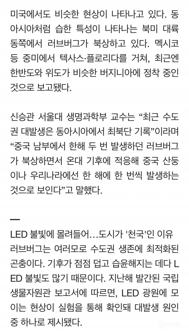 그들에겐 수도권이 천국이었다…마침내 드러난 러브버그 비밀 | 인스티즈