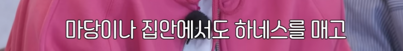 강아지 키우면 공감간다는 고민상담소 | 인스티즈