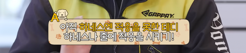 강아지 키우면 공감간다는 고민상담소 | 인스티즈