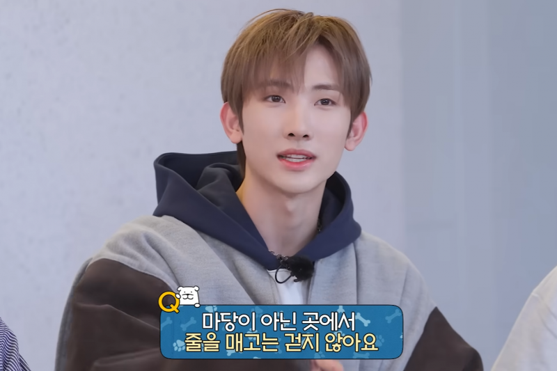 강아지 키우면 공감간다는 고민상담소 | 인스티즈