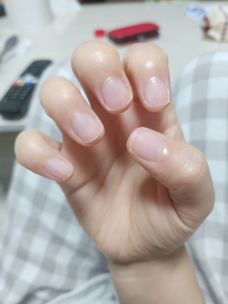 [잡담] 부채꼴 손톱같아?? | 인스티즈