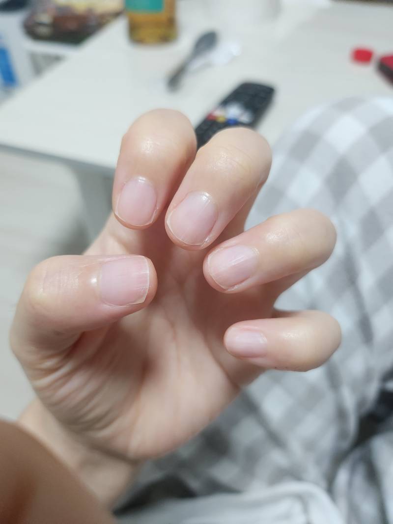 [잡담] 부채꼴 손톱같아?? | 인스티즈