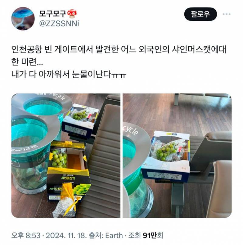 인천공항 눈물의 샤인머스켓 | 인스티즈