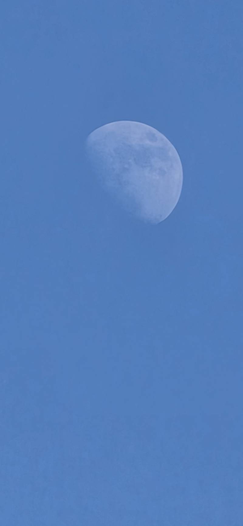 [잡담] 지금 달🌔 | 인스티즈
