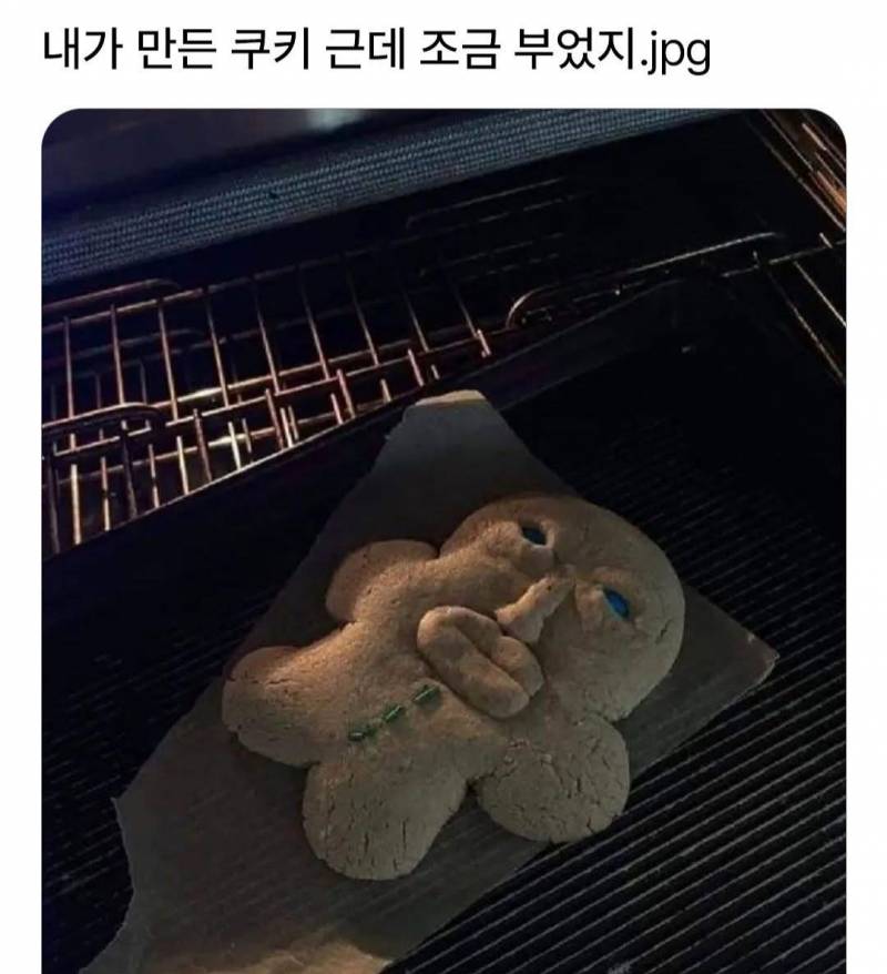[잡담] 이거보고 안웃으면 진짜 자러갈게 | 인스티즈