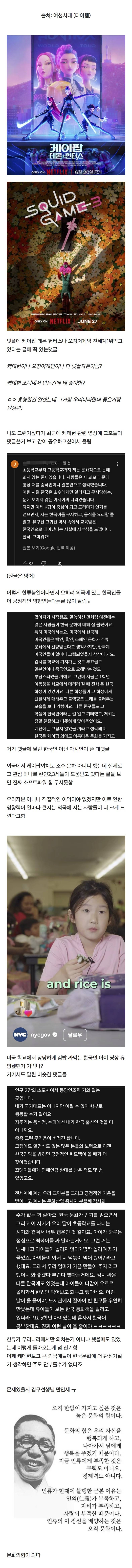 현재 넷플 한류에 찬물뿌리는 사람들.JPG | 인스티즈