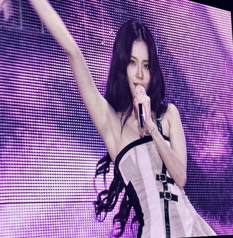 오늘 콘서트 전광판 제대로 뚫은 블랙핑크 지수.jpg | 인스티즈