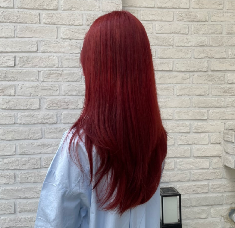 [잡담] 레드와인 염색하고 싶은데 | 인스티즈