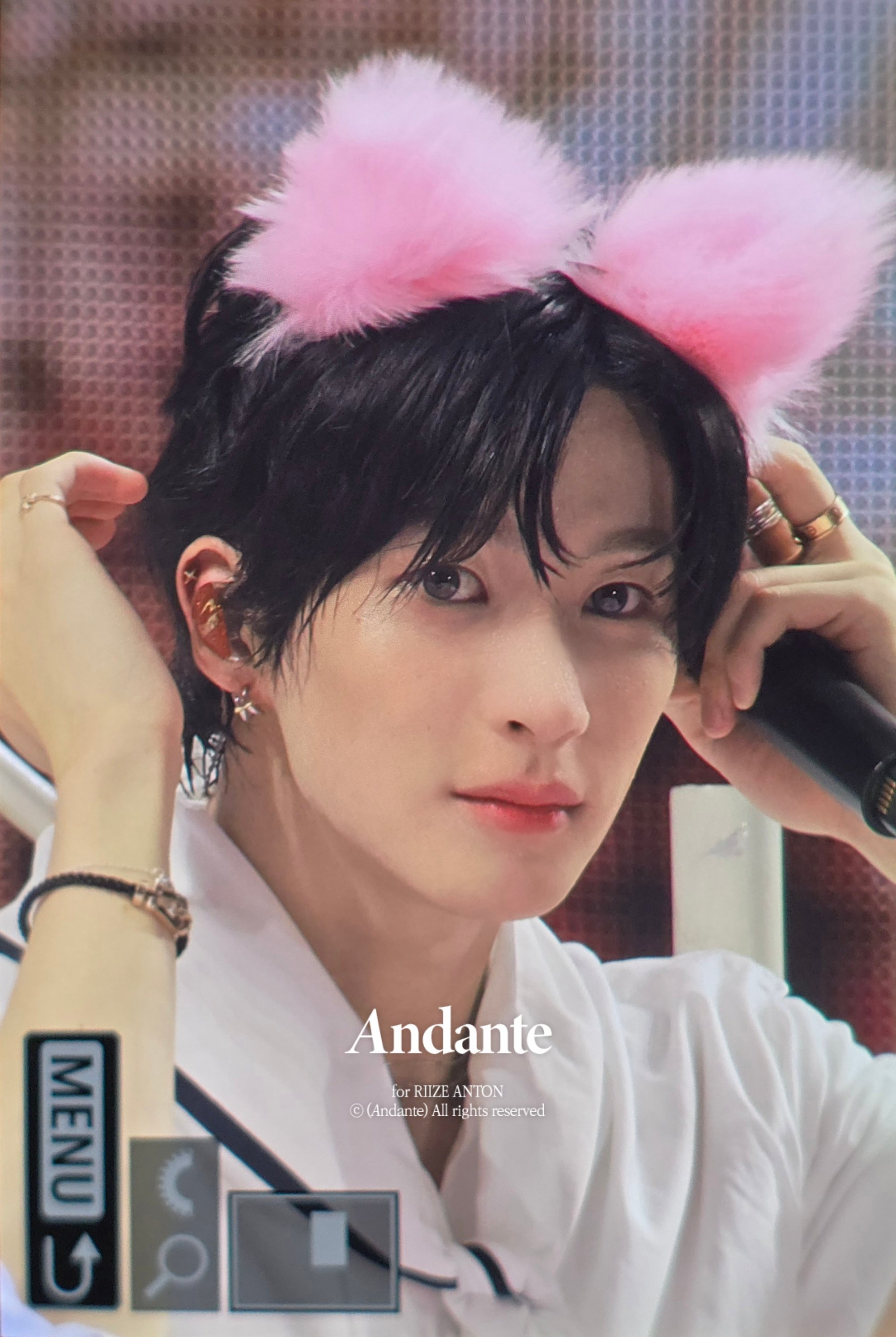 [잡담] 앤톤 강아지 vs 고양이 | 인스티즈