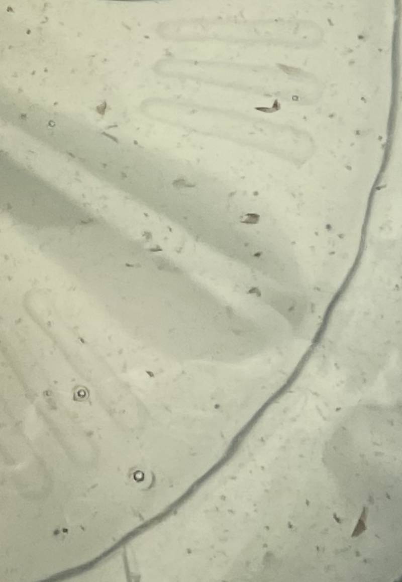 [잡담] 애들아 세탁기 청소 당장하자 | 인스티즈